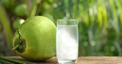 Gua De Coco Hidrata Mais Entenda O Que Melhor Para O Treino