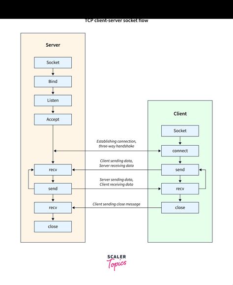 Build A Tcp Server Client With Sockets In Python Scaler Topics