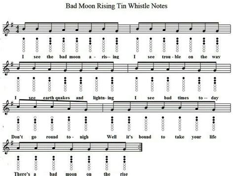 Bad Moon Rising Tin Whistle Whistle Native American Flute Music