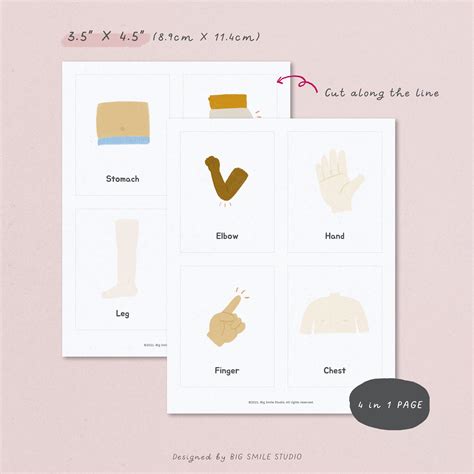 PRINTABLE Body Parts Flashcards for Toddlers, Language Activity ...