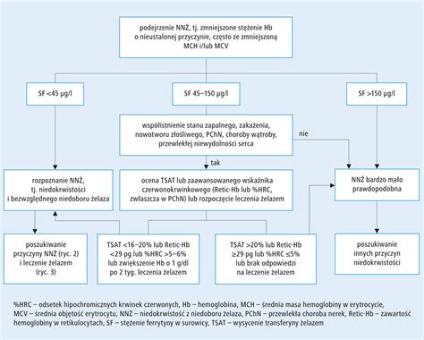 Post Powanie W Niedokrwisto Ci Z Niedoboru Elaza U Doros Ych