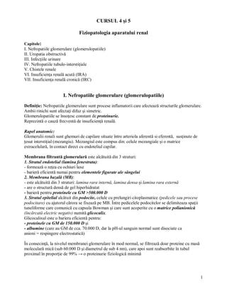 Patologia Sistem Renal PDF