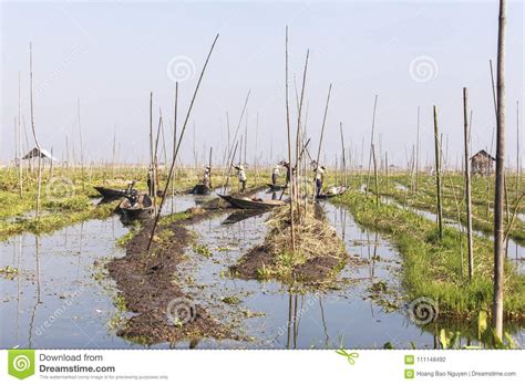 Floating Gardens of Inle Lake Editorial Photography - Image of ...