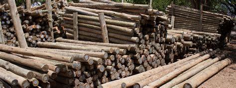 Thatching Company That Sells Wooden Timber Cca Treated Gum Poles And