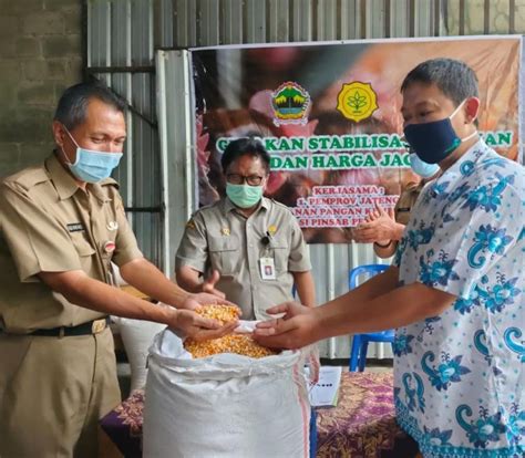 Stabilkan Pasokan Dan Harga Jagung Kementan Bantu Peternak Solo