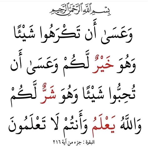 وَعَسَىٰ أَن تَكْرَهُوا شَيْئًا وَهُوَ خَيْرٌ لَّكُمْ ۖ