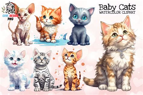 Baby Cats Sublimation Clipart Graphic By Cow Design Creative Fabrica