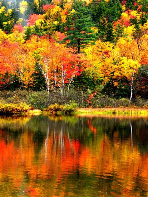 New Hampshire Colors Stanley Zimny Thank You For Million Views