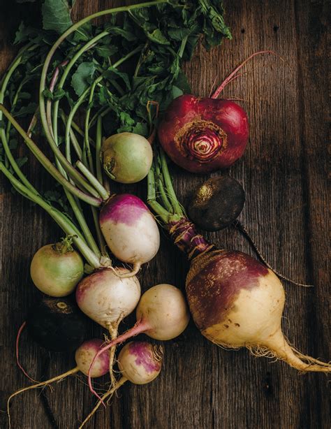 Whats In Season Turnips Radishes And Rutabaga — Edible Boston