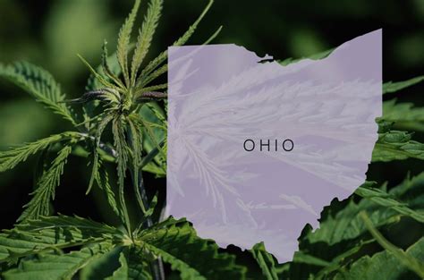 Ohio Lawmakers Introduce Recreational Cannabis Bill - IndicaOnline