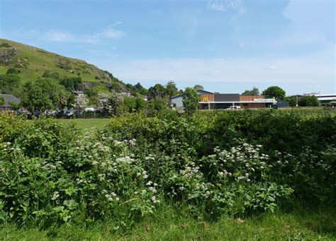 A View From The Towpath Of The Ulverston Habiloid Cc By Sa 2 0