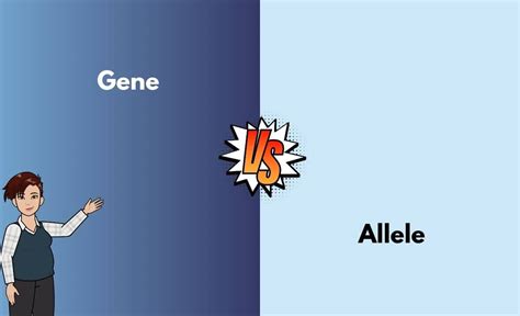 Gene Vs Allele What S The Difference With Table