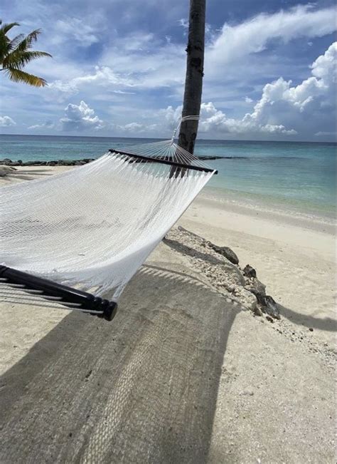 Hammock By The Water Beach Sunset Wallpaper Travel Aesthetic Beach