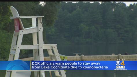 Public Warned Of Cyanobacteria Bloom In Lake Cochituate Youtube