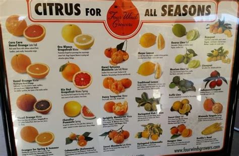 California Citrus State Historic Park Day Trip Riverside Ca