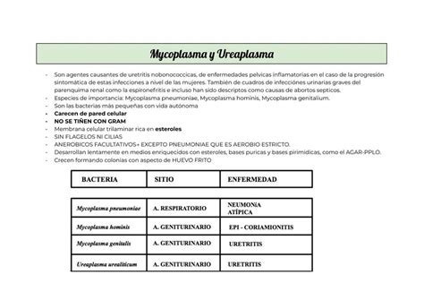 Mycoplasma Y Ureaplasma 1 Valentina Villa UDocz