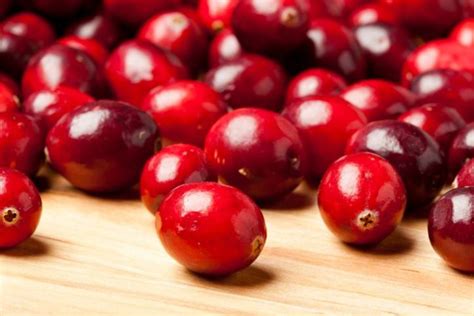 Cranberry Conheça Os Seus Benefícios Para A Saúde