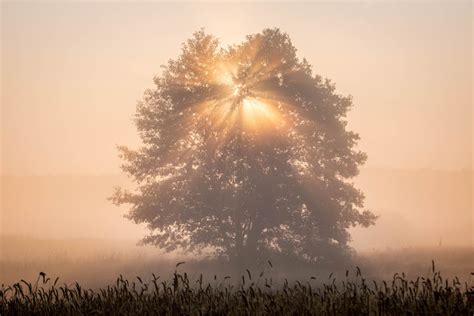 Jak Zwiedza Poleski Park Narodowy Z Dzie Mi