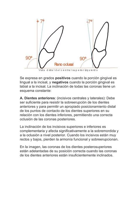 Las Seis Claves De La Oclusión Normal En Ortodoncia Pdf