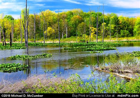 Lake Wilhelm Wetland Picture 006 May 17 2018 From Maurice K Goddard