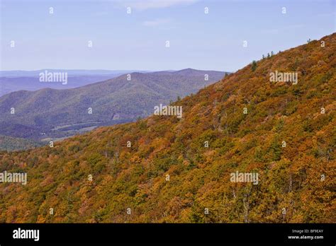 Fall foliage colors in Virginia Stock Photo - Alamy