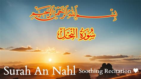 Listen Quran Beautiful Recitation Surah An Nahl Amazing Recitation Best Voice سورۃ النحل