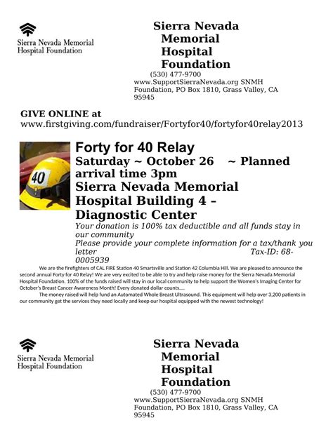 Fundraiser Flyer Templates Microsoft Word