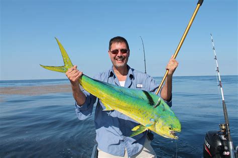 white marlin « YachtWorld UK