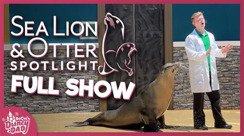 [new Show] Sea Lion And Otter Spotlight At Seaworld San Diego Youtube