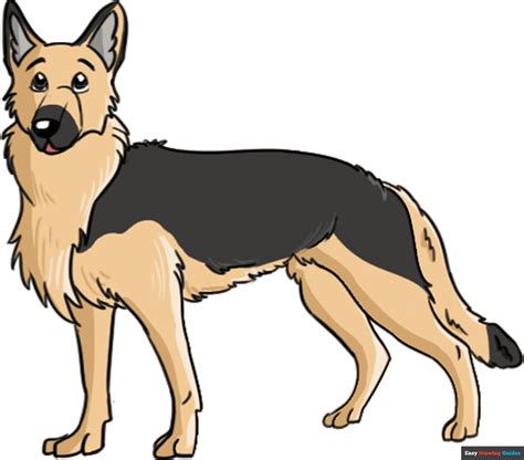 How To Draw A German Shepherd Step By Step