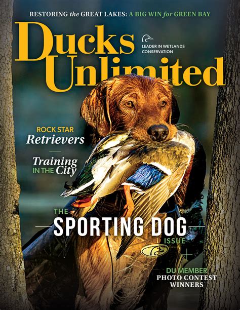 Du Magazine Ducks Unlimited