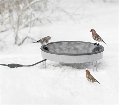 All Season Heated Ground Bird Bath