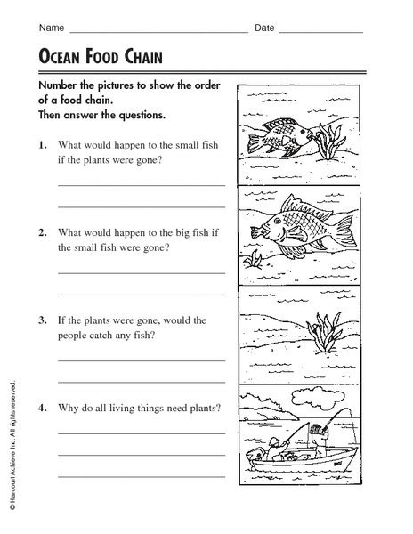 Food Chain Rd Grade Activity Food Chain Worksheet 5th Grade Free