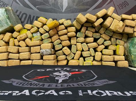 Polícia Civil apreende cerca de 170kg de maconha em depósito de Campo