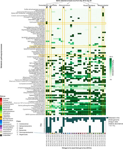 Frontiers Metagenomic Analysis Of Ecological Niche Overlap And