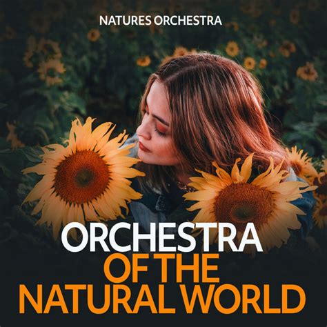 Harmonic Skies M Sica E Letra De Natures Orchestra Spotify