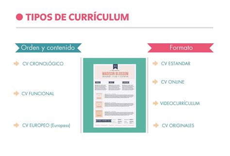 Tipos de currículum y cuando utilizarlos ESPAI DE RECERCA ACTIVA DE FEINA