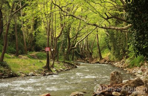 Bursa Da Gezilecek Yerler Misi K Y Foto Galerisi Bursadabugun