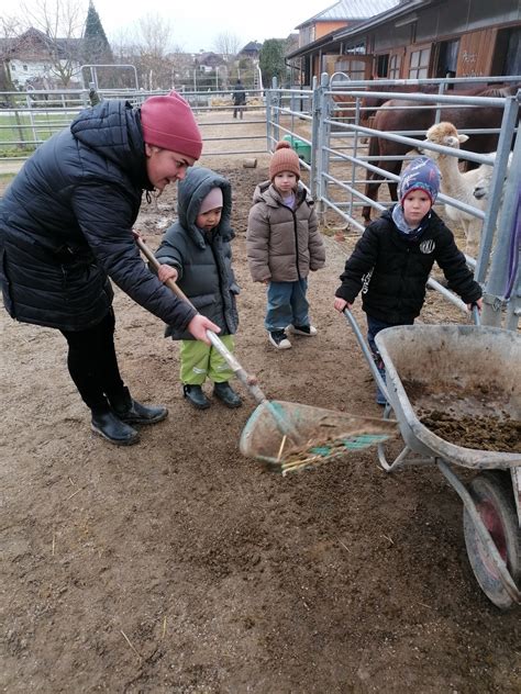 Kindertraum Tiergestützte Pädagogik auf dem Bauernhof für 4 Kinder