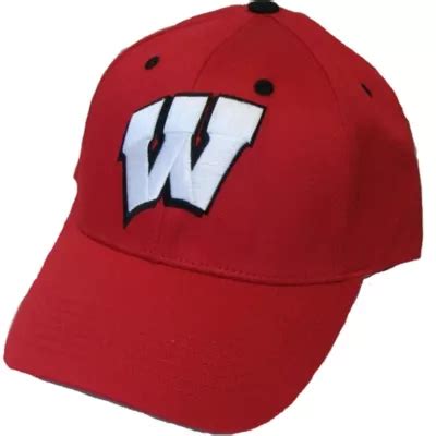 Wisconsin Badgers Baseball Hat | Party City