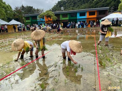 汐止農會休閒中心啟用 親子插秧推廣食農教育 生活 自由時報電子報