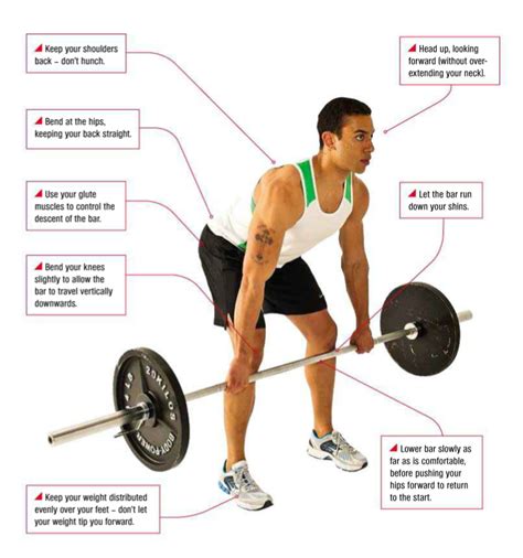 helpful guide  proper deadlift form wwwplinnovationscom fitness