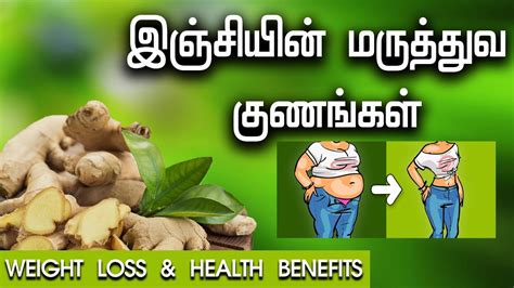 இஞ்சியின் மருத்துவ குணங்கள் Ginger Weight Loss And Health Benefits