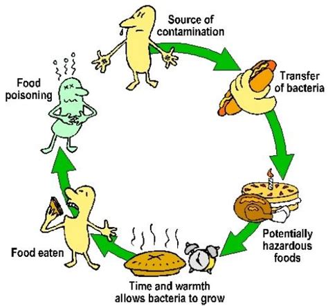 Food Borne Illness And Food Poisoning Which Foods Are The Worst