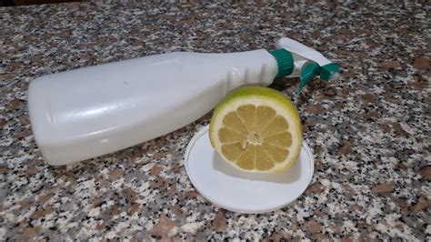 Disinfettante Fatto In Casa Con Limone E Alcool Puro Mammastyle It