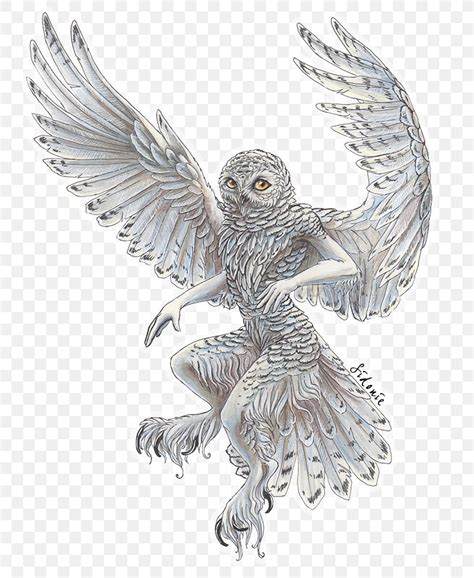 Snowy Owl Bird Drawing Barn Owl Png 754x1000px Owl Art Barn Owl