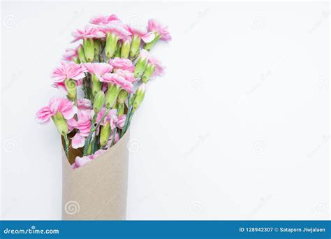 Flor Cor De Rosa Dos Cravos Do Ramalhete Para No Branco Imagem De Stock