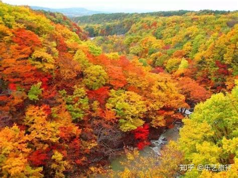 2019日本限定红叶季已发货！揭秘本州岛私藏小众赏枫地 知乎