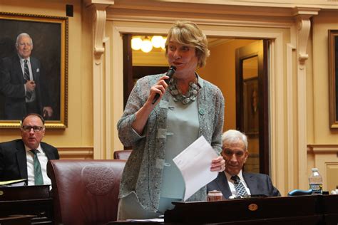 After six-month delay, Virginia General Assembly passes budget bill