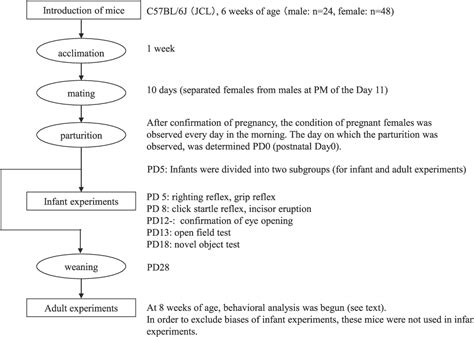 Figure 1 From Behavioral Effects Of Bisphenol A Exposure During The